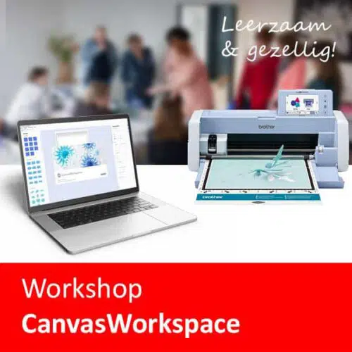 Brother ScanNCut Workshop Vervolg, 22-01-2024