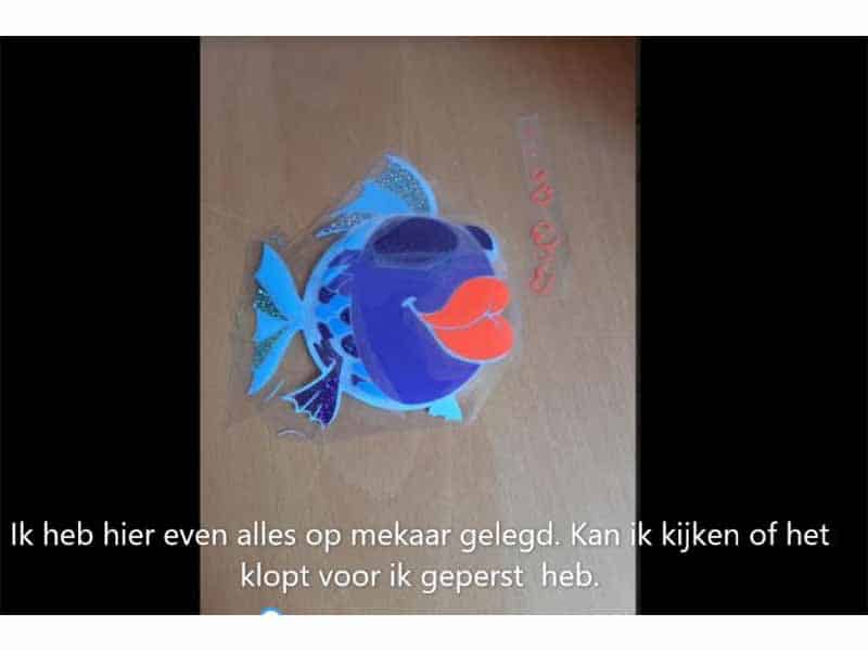 Multicolour kleding bedrukken: Vis