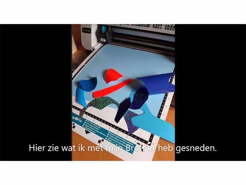 Multicolour kleding bedrukken: Vis